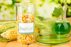 The Shoe biofuel availability